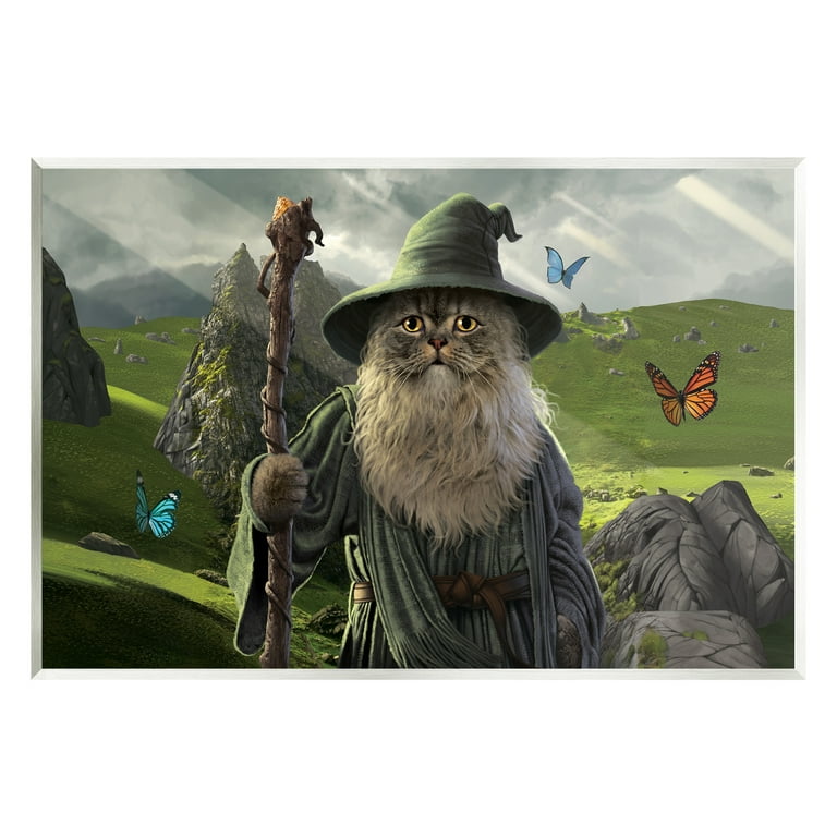 Stupell Industries Fantasy Wizard Animals Insects Painting Art