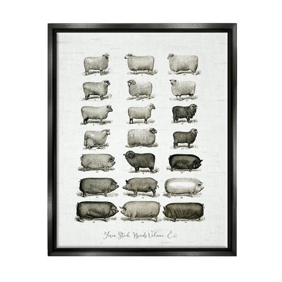 Stupell Industries Farm Animal Breeds Pigs Sheep Diagram Chart Graphic Art Jet Black Floating Framed Canvas Print Wall Art, Design by Lettered and Lined