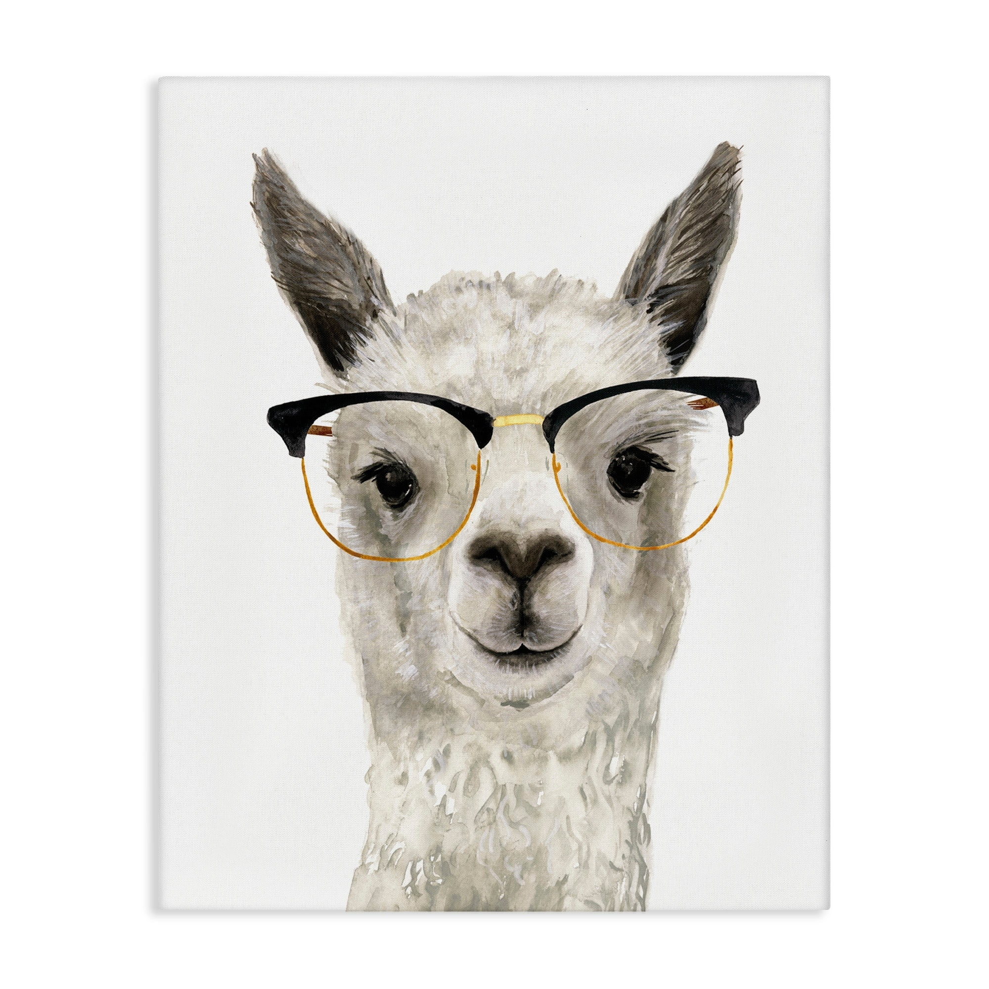 Farm Animal Llama in Glasses Canvas Wall Art for Kids