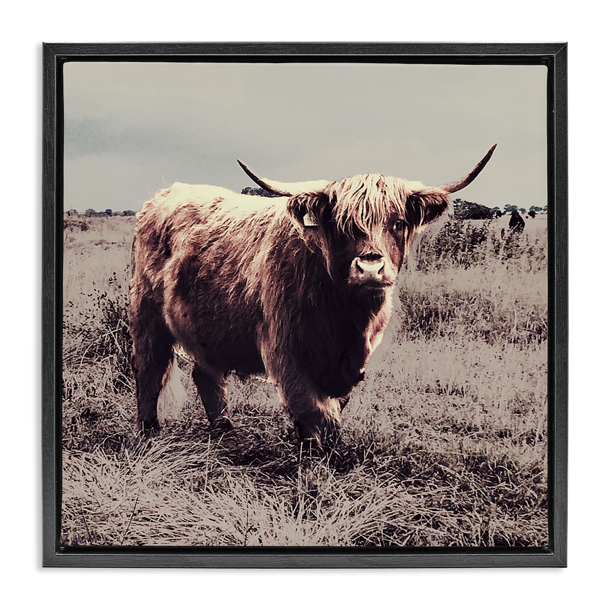 Stupell Industries Farm Cattle Rustic Vintage Styling Animals & Insects Painting Black Floater Framed Canvas Art Print Wall Art, 18 x 18