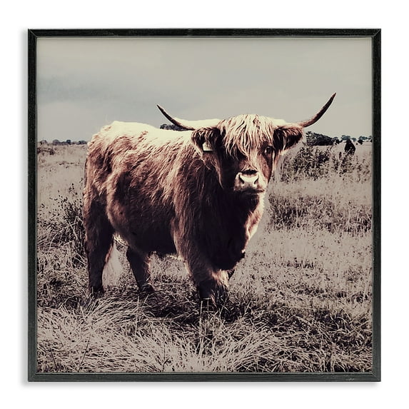Stupell Industries Farm Cattle Rustic Vintage Styling Animals & Insects Painting Black Framed Art Print Wall Art, 24 x 24
