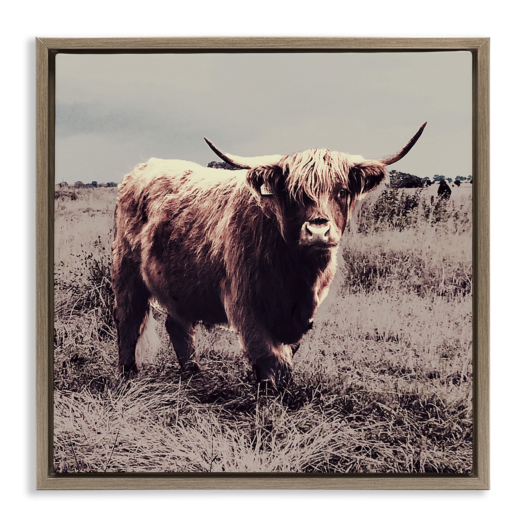 Stupell Industries Farm Cattle Rustic Vintage Styling Animals & Insects Painting Brown Floater Framed Canvas Art Print Wall Art, 18 x 18