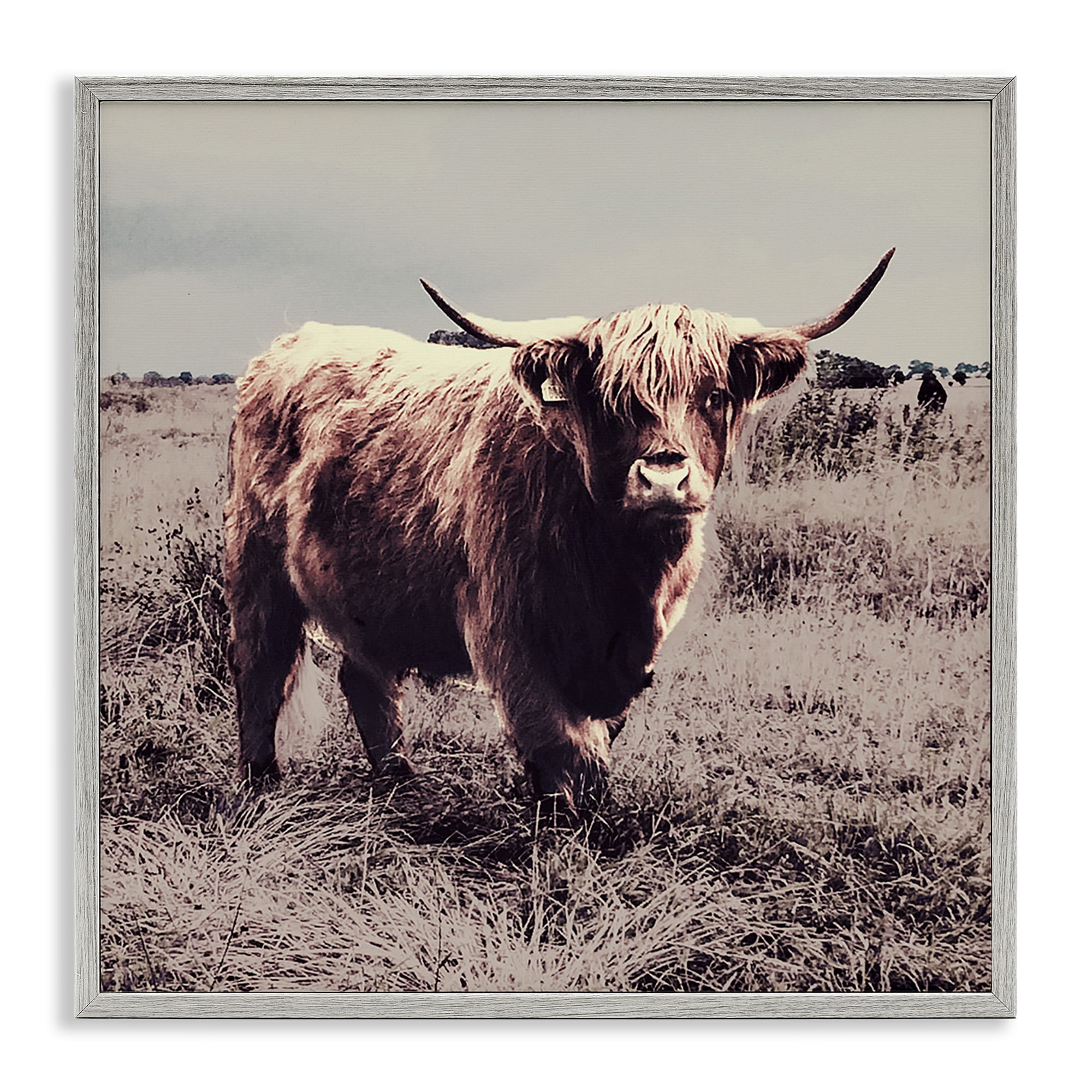 Stupell Industries Farm Cattle Rustic Vintage Styling Animals & Insects Painting Gray Framed Art Print Wall Art, 17 x 17