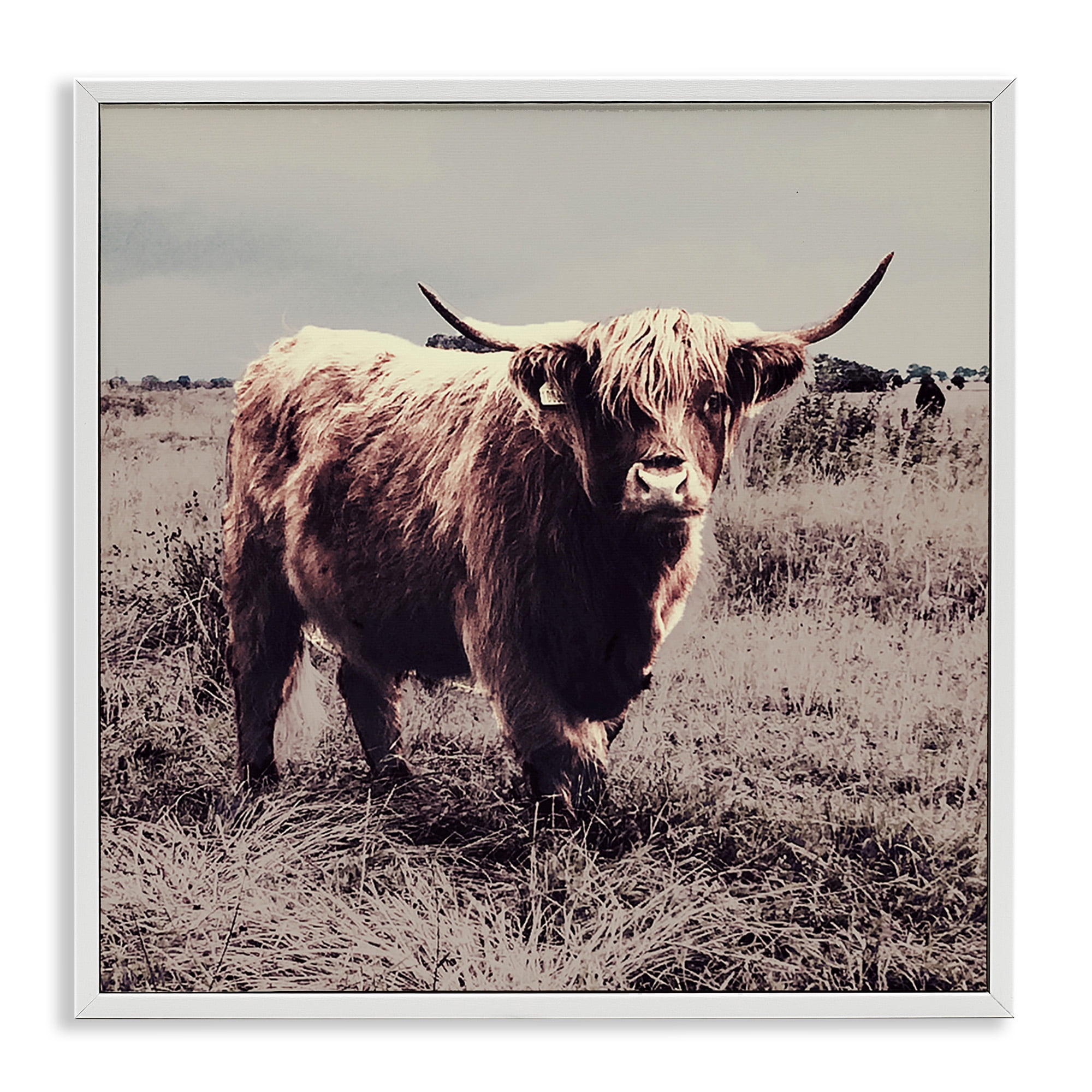 Stupell Industries Farm Cattle Rustic Vintage Styling Animals & Insects Painting White Framed Art Print Wall Art, 12 x 12