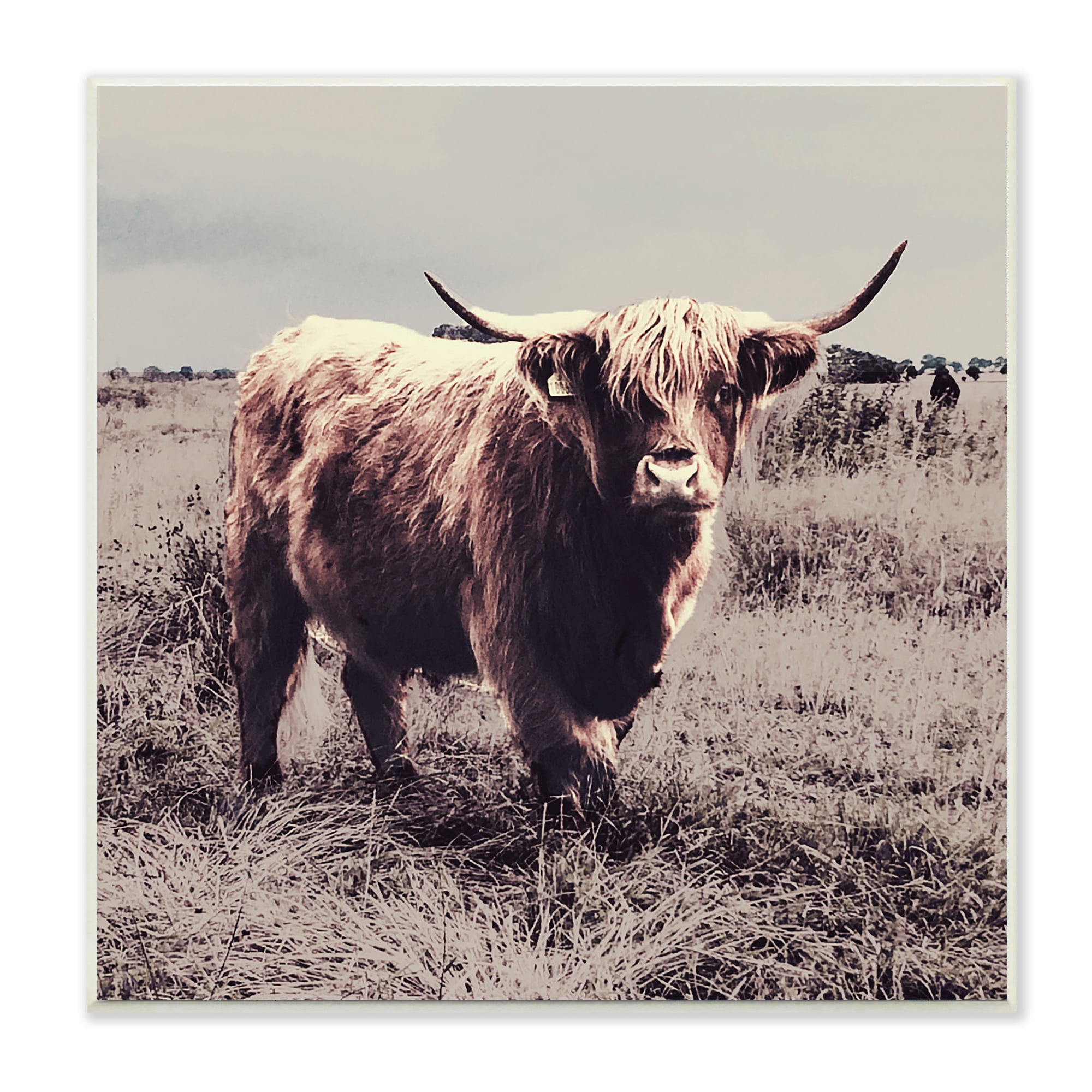 Stupell Industries Farm Cattle Rustic Vintage Styling Muted Tones,12 x 12,Designed by SD Graphics Studio