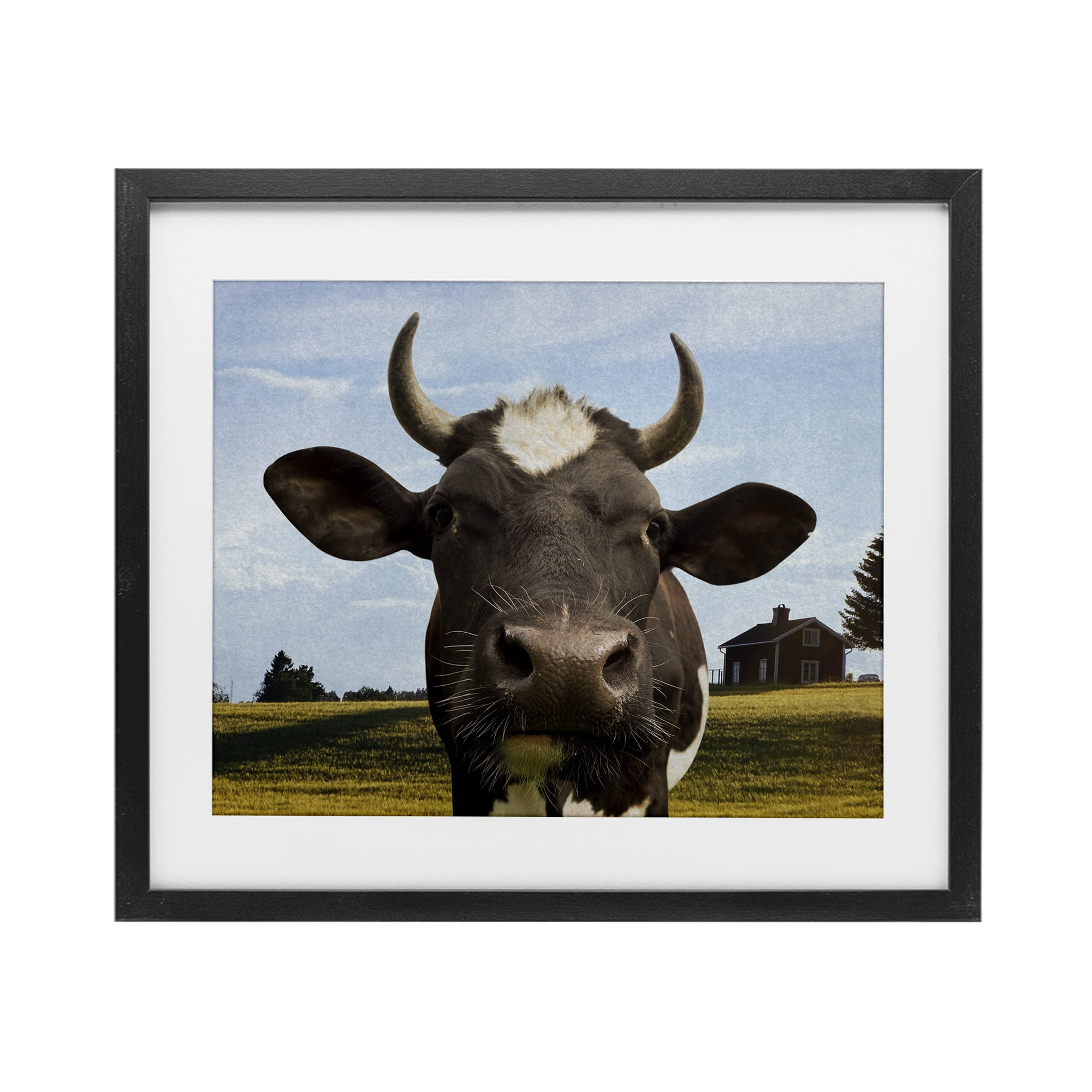 Stupell Industries Farm Cow with Curved Horns Black Framed Print Under Glass, design by Marcus Prime