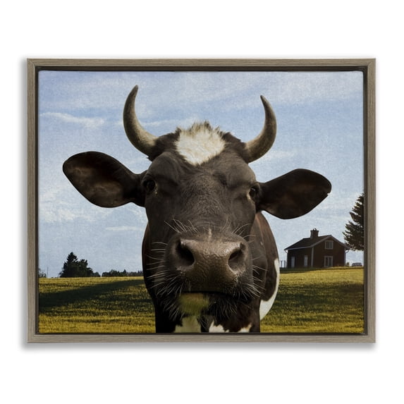 Stupell Industries Rustic Lodge Farm Cow with Curved Horns Brown Floating Frame Canvas Art, 31 x 25, by Marcus Prime