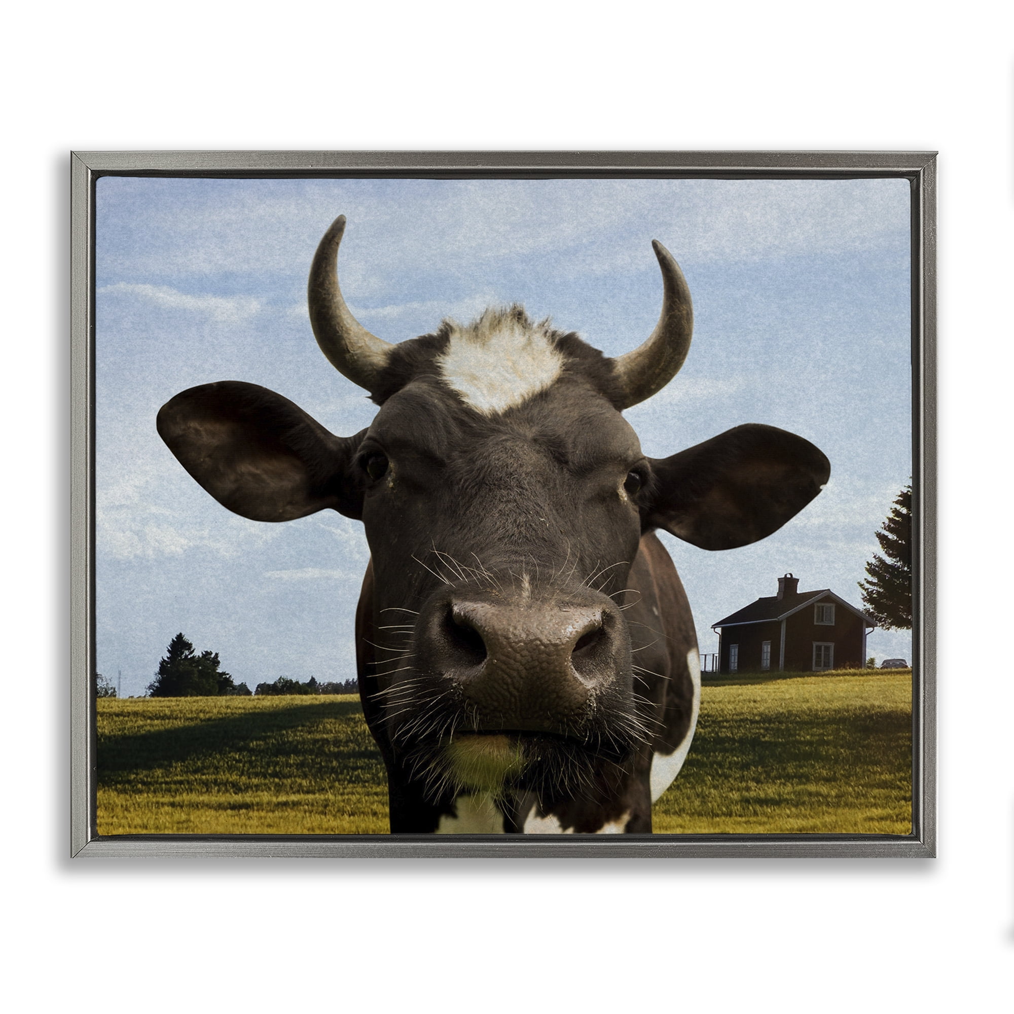 Stupell Industries Farm Cow with Curved Horns Gray Framed Floater Canvas Wall Art, design by Marcus Prime