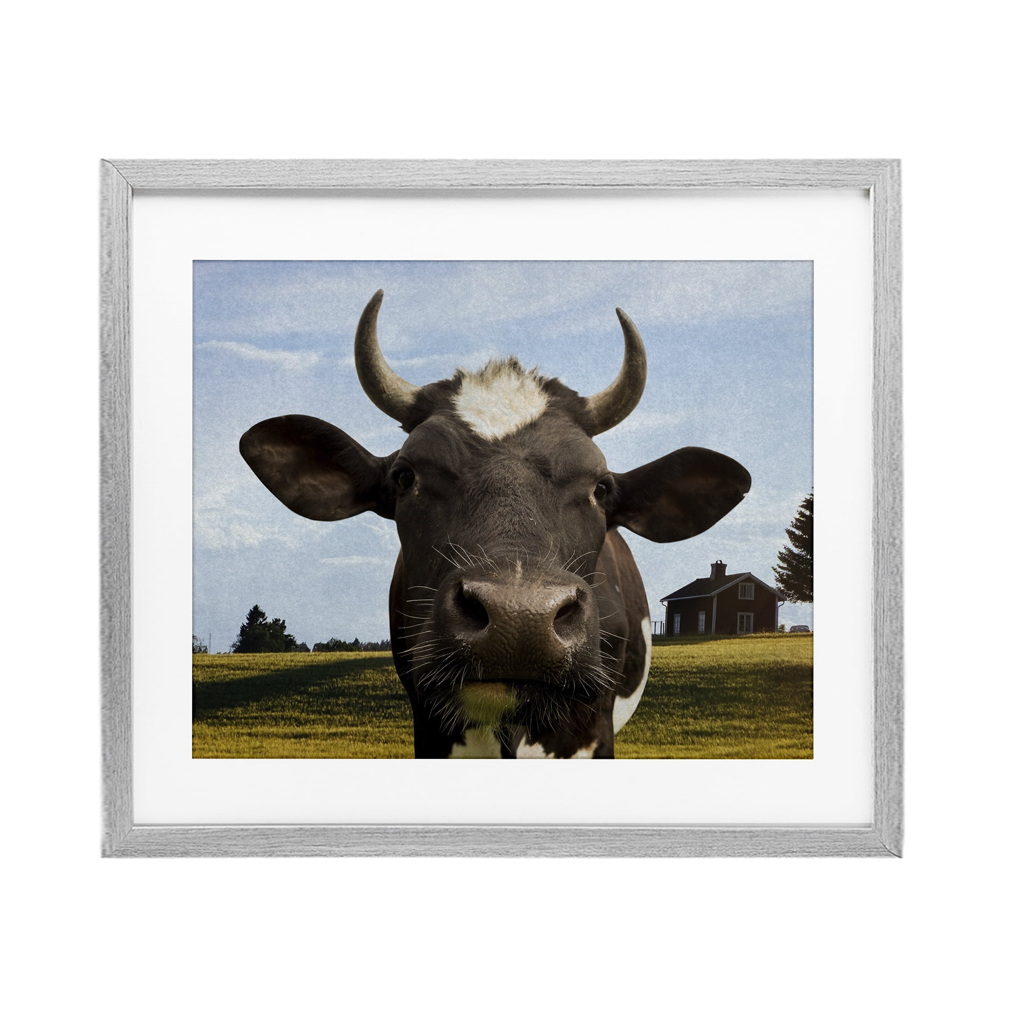 Stupell Industries Farm Cow with Curved Horns Gray Framed Print Under Glass, design by Marcus Prime
