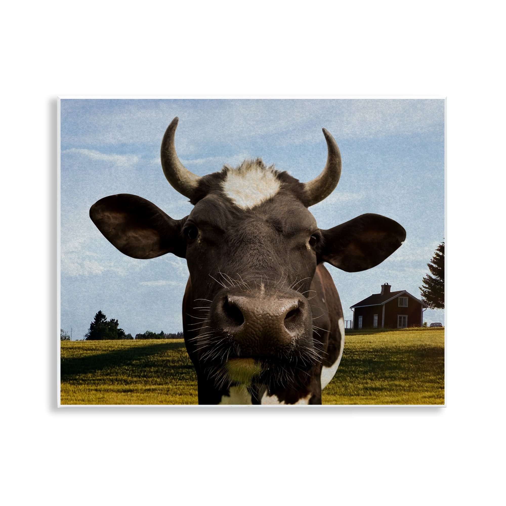 Stupell Industries Farm Cow with Curved Horns Wall Plaque Art, design by Marcus Prime