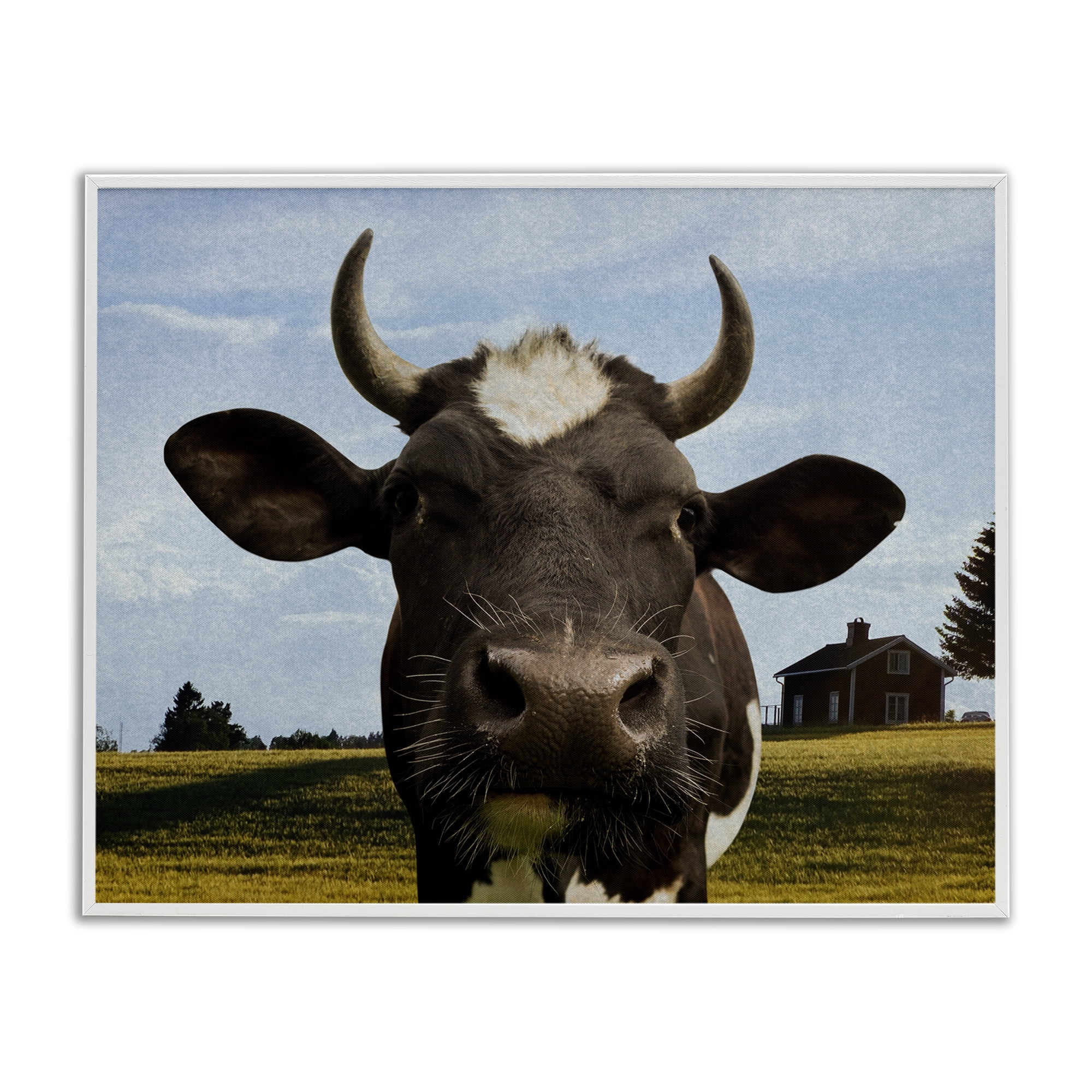 Stupell Industries Farm Cow with Curved Horns White Framed Giclee Art, design by Marcus Prime