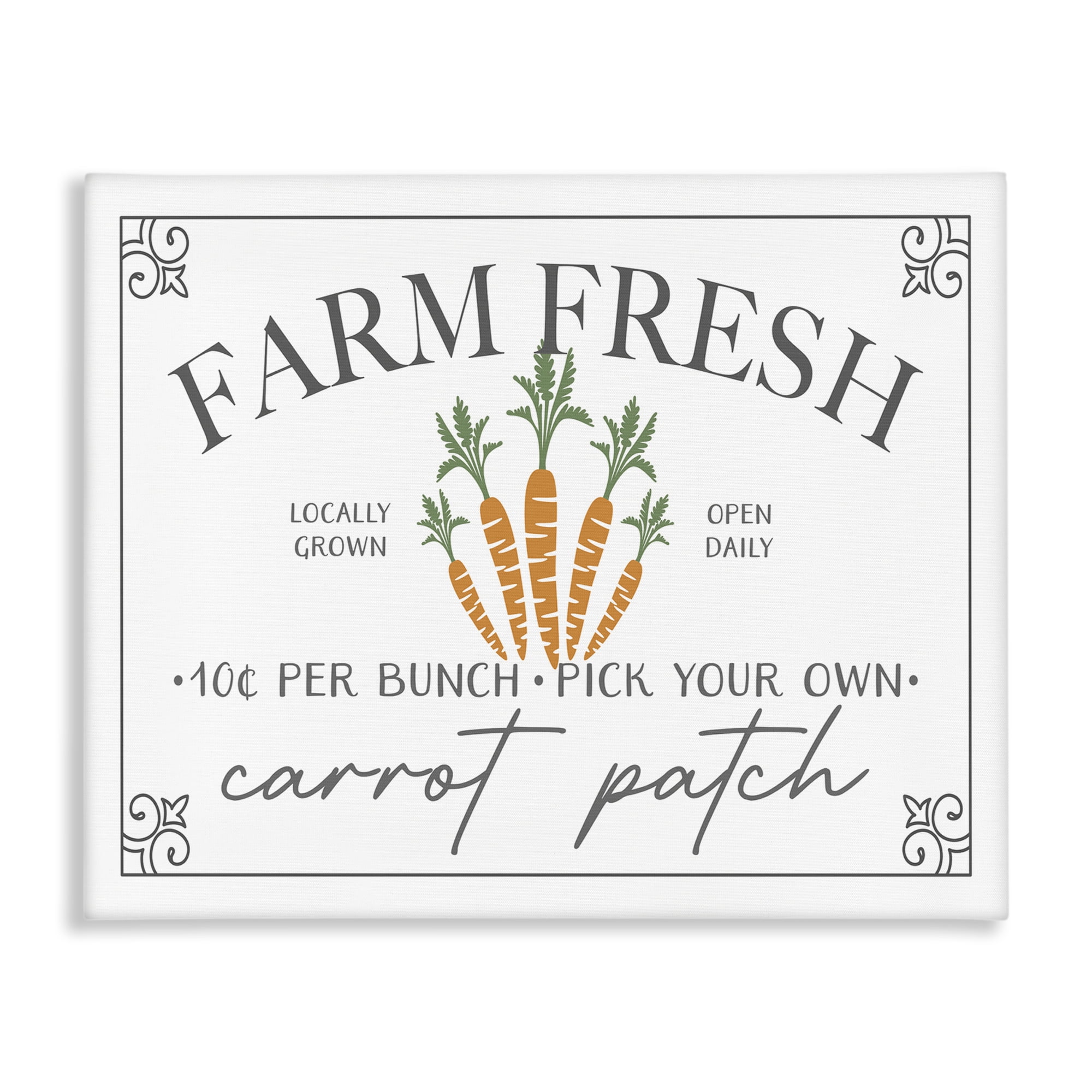 Farm Fresh Carrot Patch Seasonal Springtime Vegetables Canvas Art, 30 x 24, By JJ Design House LLC