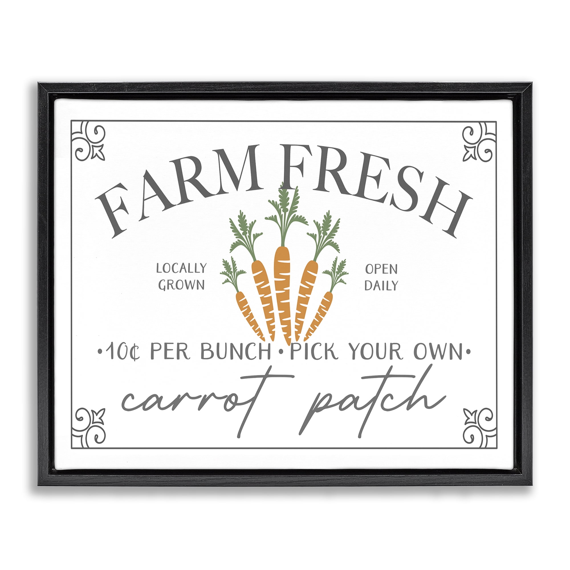 Farm Fresh Carrot Patch Seasonal Springtime Vegetables Black Floating Frame Canvas Art, 21 x 17, By JJ Design House LLC