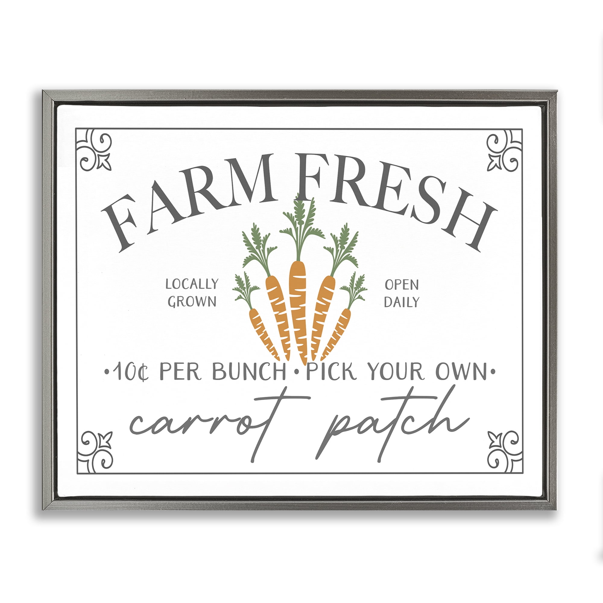 Farm Fresh Carrot Patch Seasonal Springtime Vegetables Gray Floating Frame Canvas Art, 21 x 17, By JJ Design House LLC