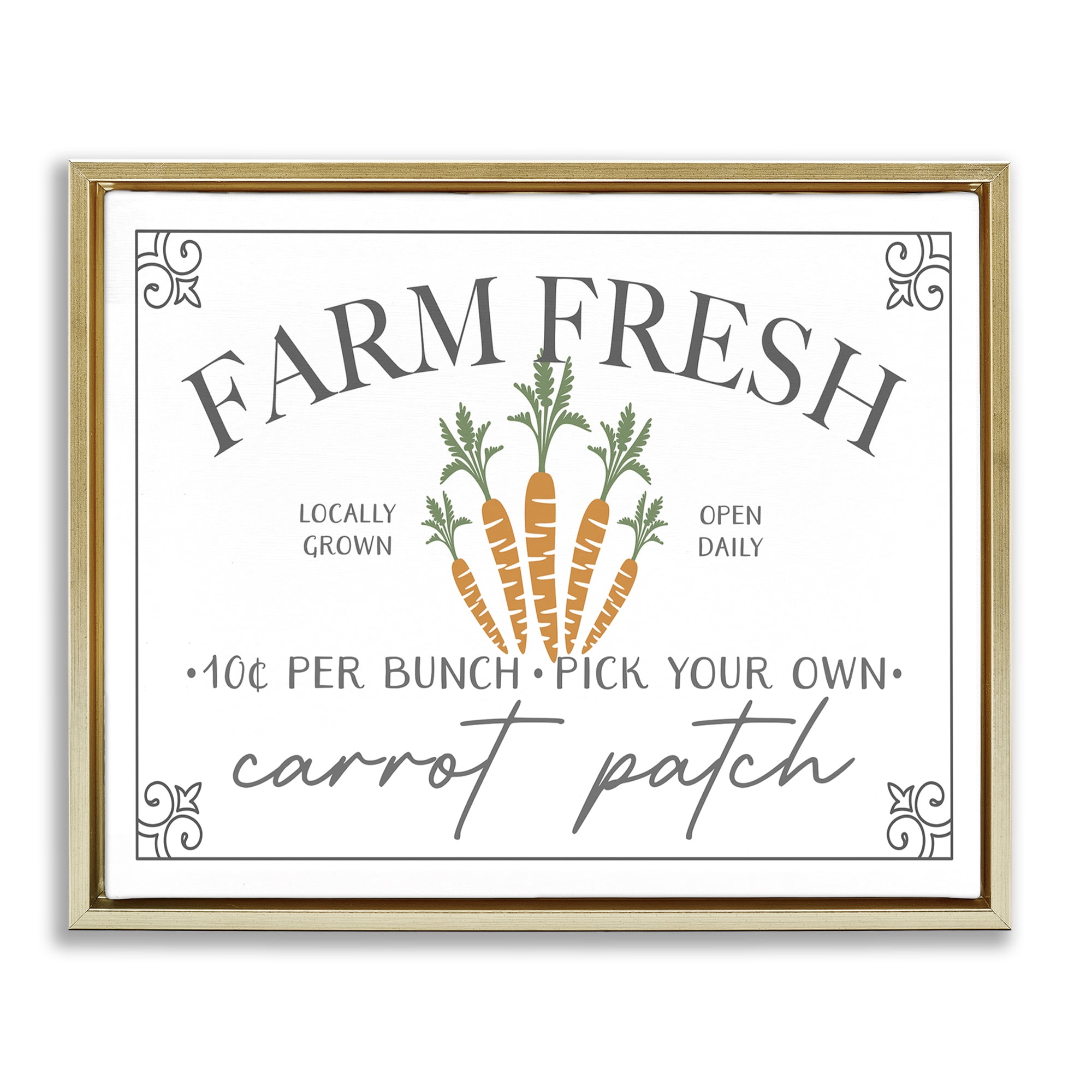 Farm Fresh Carrot Patch Seasonal Springtime Vegetables Gold Floating Frame Canvas Art, 21 x 17, By JJ Design House LLC