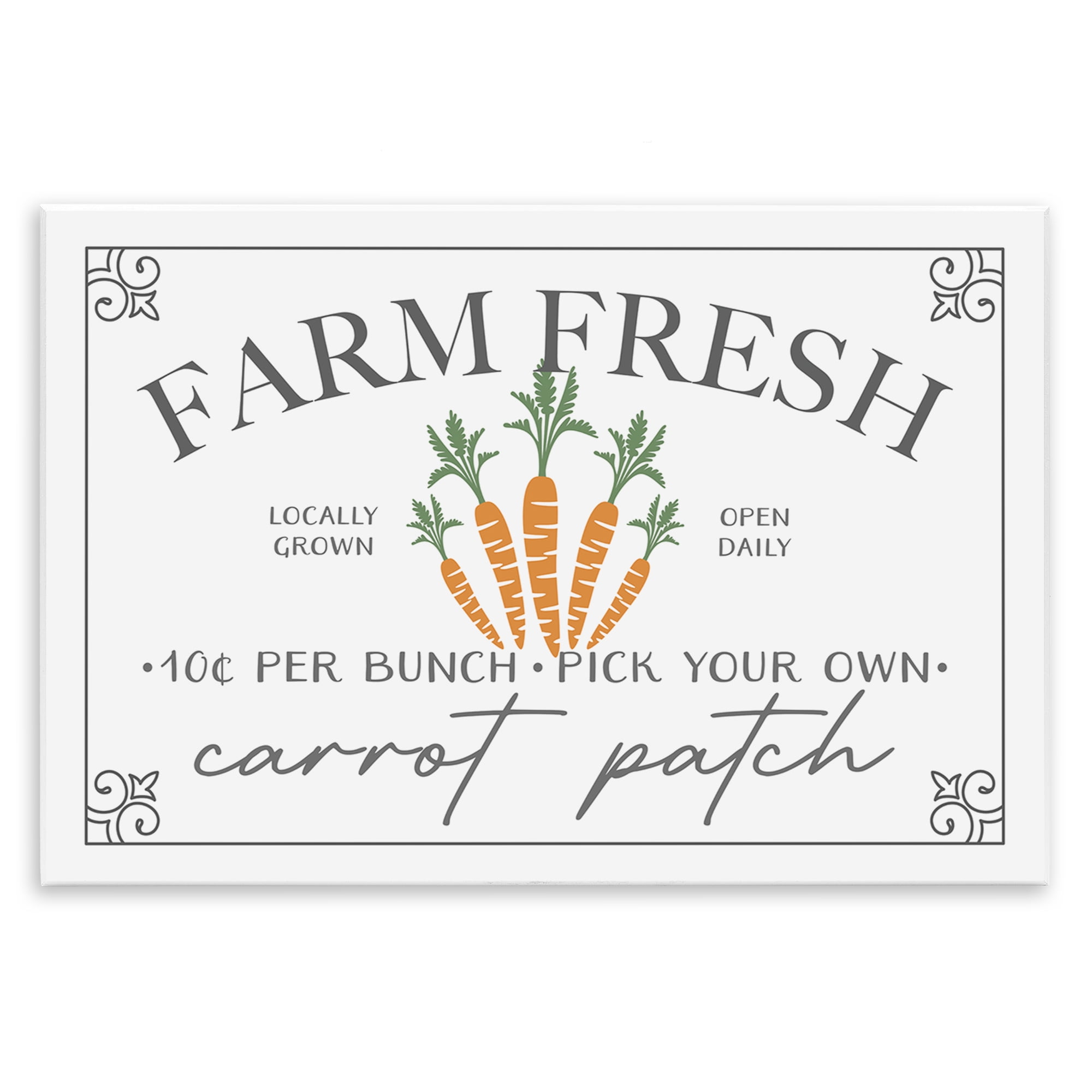 Farm Fresh Carrot Patch Seasonal Springtime Vegetables Wall Plaque Art, 15 x 10, By JJ Design House LLC