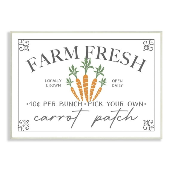 Stupell Industries Farm Fresh Carrot Patch Seasonal Springtime Vegetables Graphic Art Unframed Art Print Wall Art, Design by JJ Design House LLC