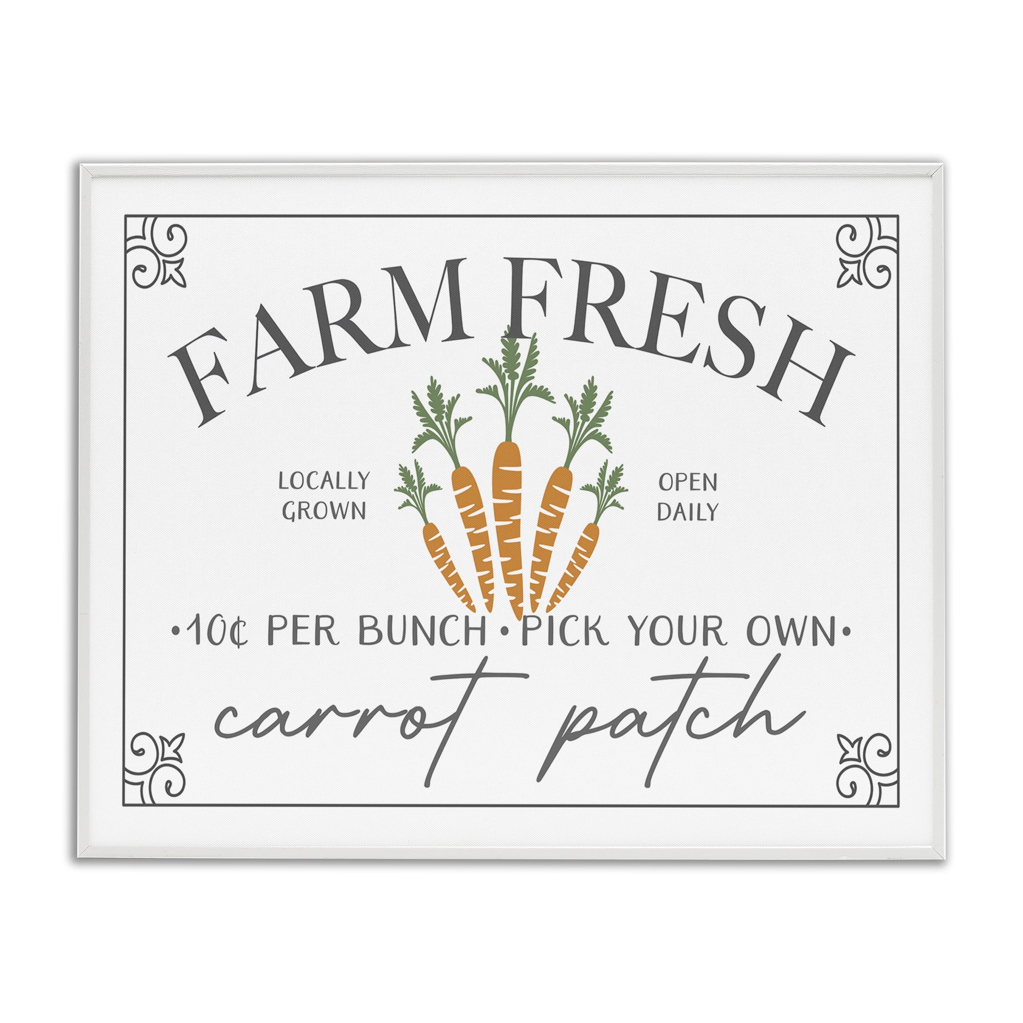 Farm Fresh Carrot Patch Seasonal Springtime Vegetables White Framed Giclee Art, 14 x 11, By JJ Design House LLC