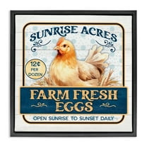 Stupell Industries Farm Fresh Eggs Animals & Insects Painting Black Floater Framed Canvas Art Print Wall Art, 18 x 18