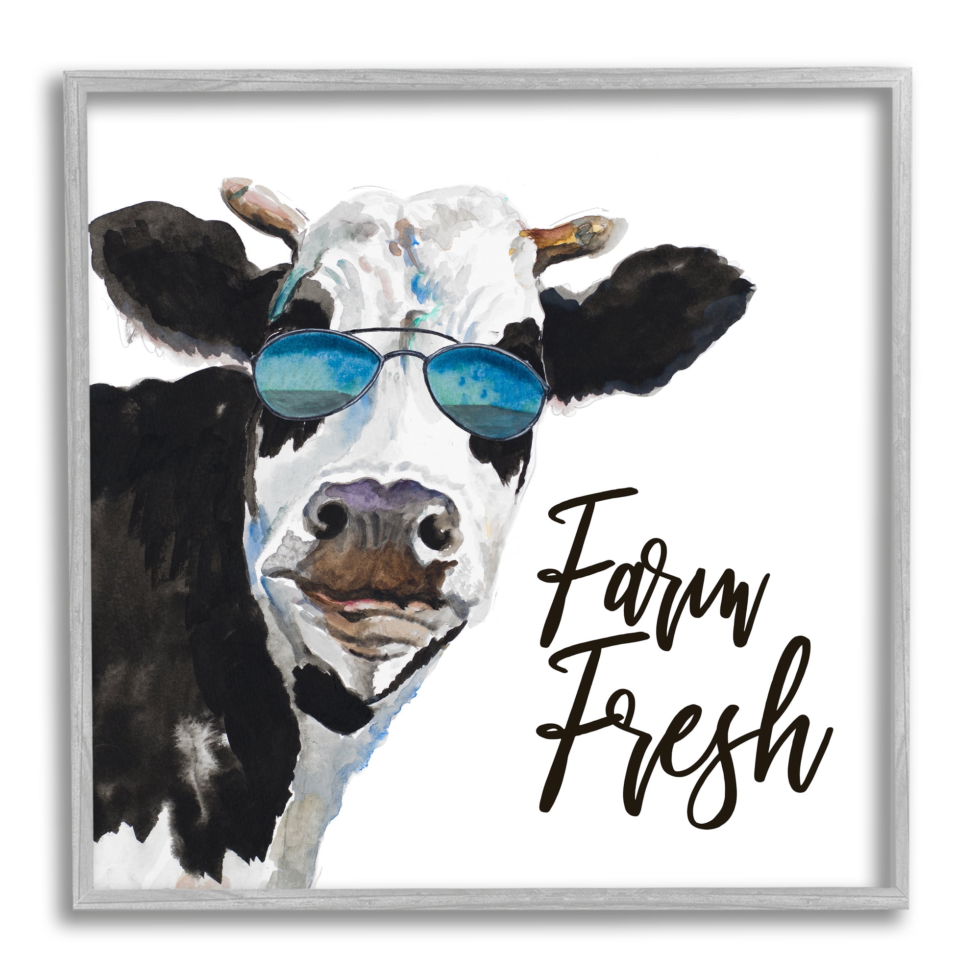 Stupell Industries Farm Fresh Funny Dairy Cow Phrase Aviator Shades, 24 x 24, Design by Patricia Pinto