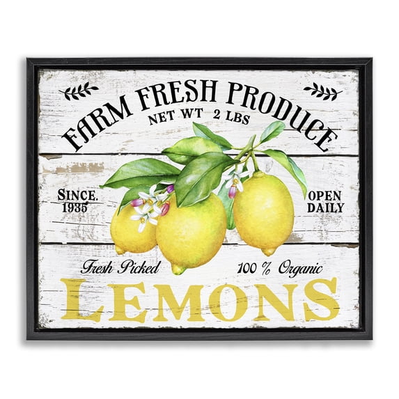 Stupell Industries Traditional Farm Fresh Produce Lemons Black Floating Frame Canvas Art, 21 x 17, by Creatif Belle