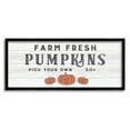thumbnail image 1 of Stupell Industries Farm Fresh Pumpkins Country Sign Graphic Art Black Framed Art Print Wall Art, Design by CAD Designs, 1 of 8