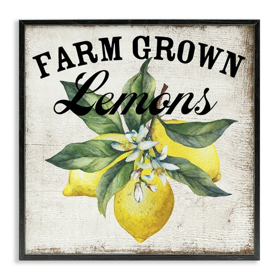 Stupell Industries Farm Grown Lemons Food & Beverage Painting Black Framed Art Print Wall Art, 12 x 12
