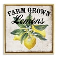 thumbnail image 1 of Stupell Industries Rustic Lodge Farm Grown Lemons Gold Floating Frame Canvas Art, 18 x 18, by Creatif Belle, 1 of 8