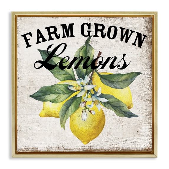 Stupell Industries Rustic Lodge Farm Grown Lemons Gold Floating Frame Canvas Art, 18 x 18, by Creatif Belle