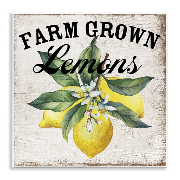 Stupell Industries Farm Grown Lemons Food & Beverage Painting Unframed Art Print Wall Art, 12 x 12