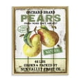 thumbnail image 1 of Stupell Industries Farmhouse Farm Orchard Pears Gold Floating Frame Canvas Art, 25 x 31, by Creatif Belle, 1 of 8