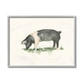 thumbnail image 1 of Stupell Industries Farm Pig Grazing in Field Hog Watercolor Design by Ethan Harper, 11" x 14", Gray Framed, 1 of 1