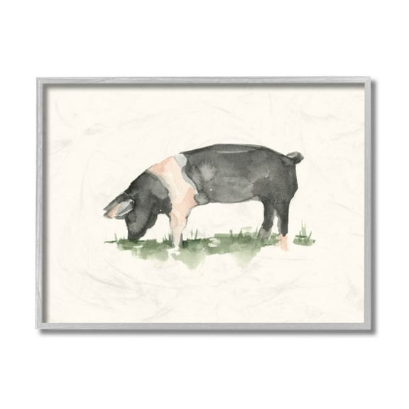 Stupell Industries Farm Pig Grazing in Field Hog Watercolor Design by Ethan Harper, 11" x 14", Gray Framed