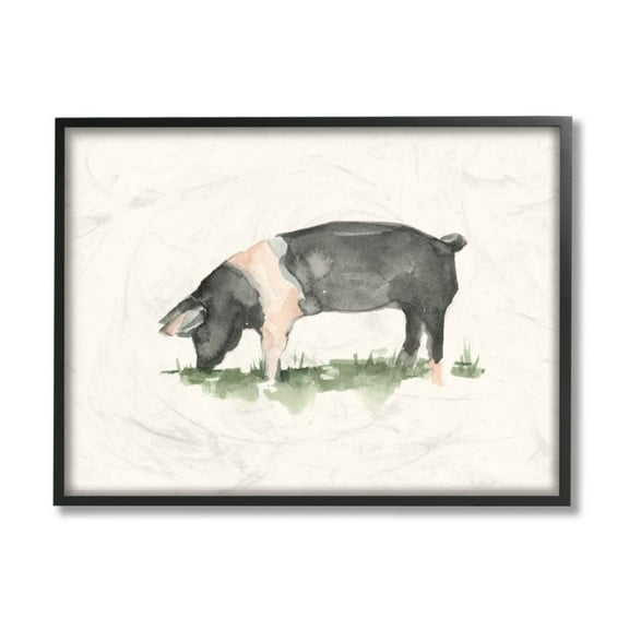 Stupell Industries Farm Pig Grazing in Field Hog Watercolor Design by Ethan Harper, 24" x 30", Black Framed