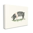 thumbnail image 1 of Stupell Industries Farm Pig Grazing in Field Hog Watercolor Design by Ethan Harper, 30" x 40", 1 of 1