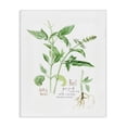 thumbnail image 1 of Stupell Industries Farmhouse Basil Plant Best Of Herbs Watercolor Garden Greens Canvas Art, 16 x 20, by Verbrugge Watercolor, 1 of 8