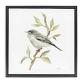 thumbnail image 1 of Stupell Industries Farmhouse Bird on Simple Branch Black Floating Frame Canvas Art, 18 x 18, by Cindy Jacobs, 1 of 8
