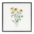 thumbnail image 1 of Stupell Industries Farmhouse Black-Eyed Susan Botanical Black Framed Giclee Art, 12 x 12, by Cindy Jacobs, 1 of 6
