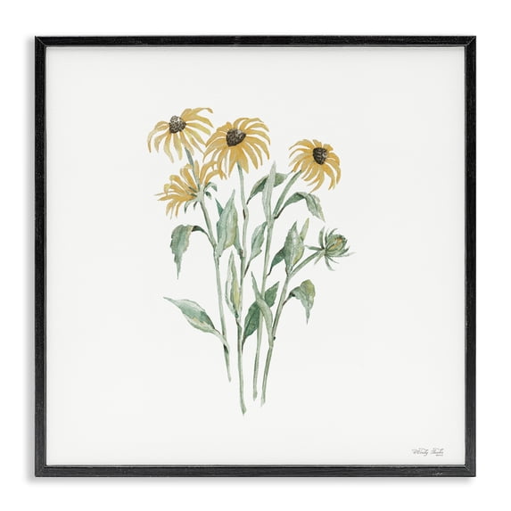 Stupell Industries Farmhouse Black-Eyed Susan Botanical Black Framed Giclee Art, 12 x 12, by Cindy Jacobs