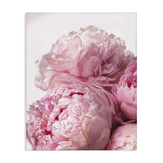 Stupell Industries Farmhouse Blush Pink Peonies Florals Blooming over White Canvas Art, 36 x 48, by Ziwei Li