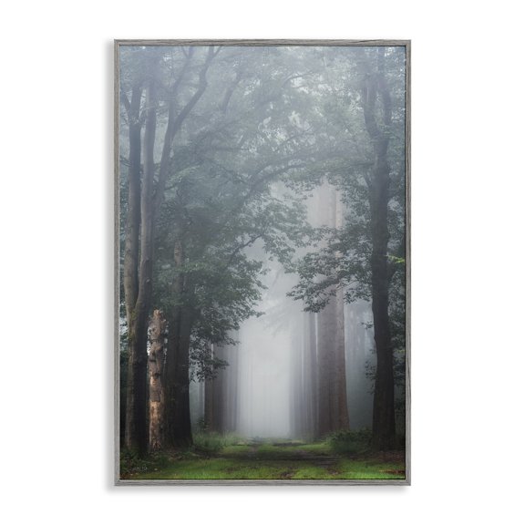 Stupell Industries Farmhouse Calm Forest Clearing Gray Framed Giclee Art, 12 x 18, by Martin Podt