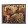 thumbnail image 1 of Stupell Industries Farmhouse Cattle & Calf Photography Gray Floating Frame Canvas Art, 31 x 25, by Nathan Larson, 1 of 7