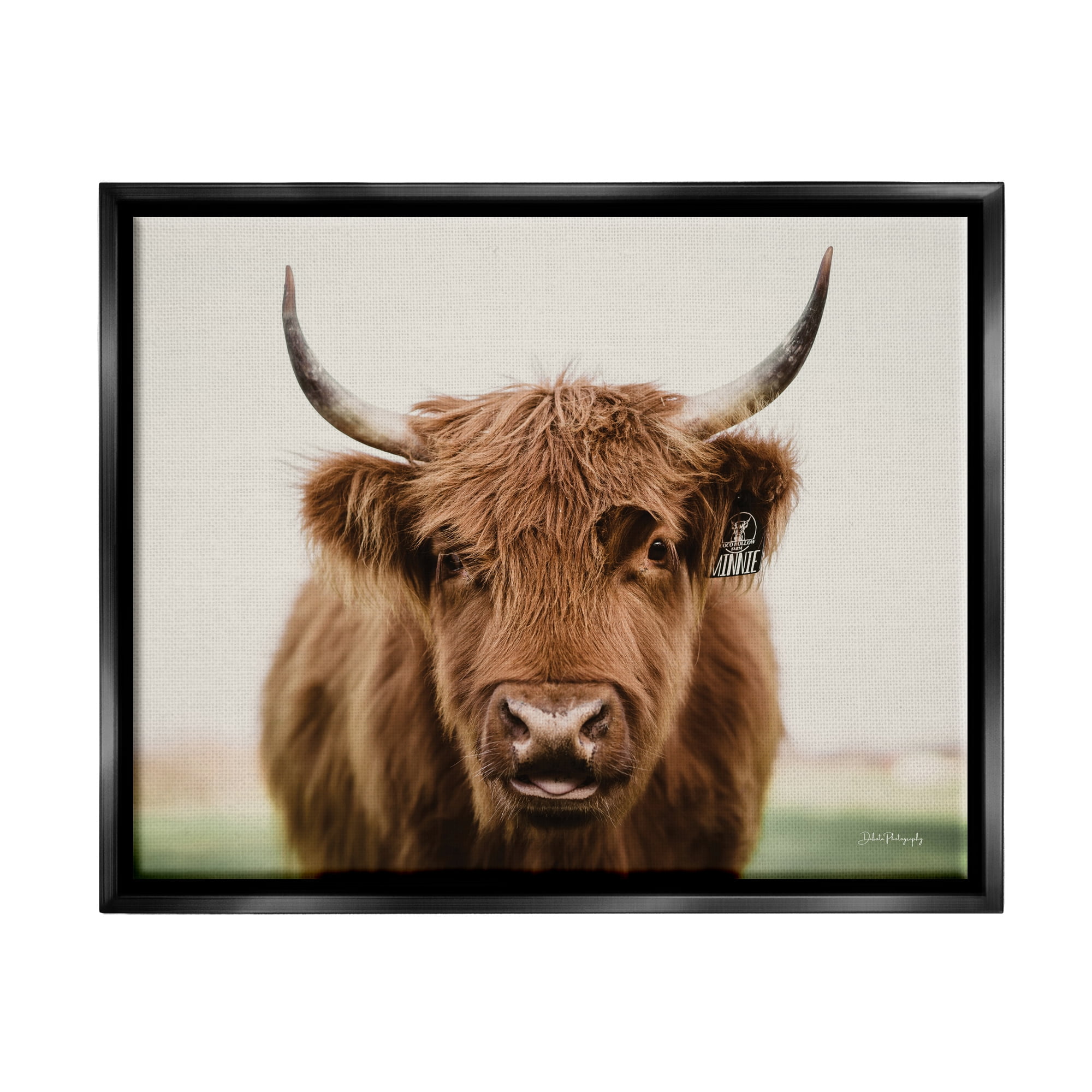 Stupell Industries Farmhouse Cattle Photography Animals & Insects Photography Black Floater Framed Art Print Wall Art, 21 x 17