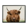 thumbnail image 1 of Stupell Industries Farmhouse Cattle Photography Animals & Insects Photography Black Framed Art Print Wall Art, 20 x 16, 1 of 9