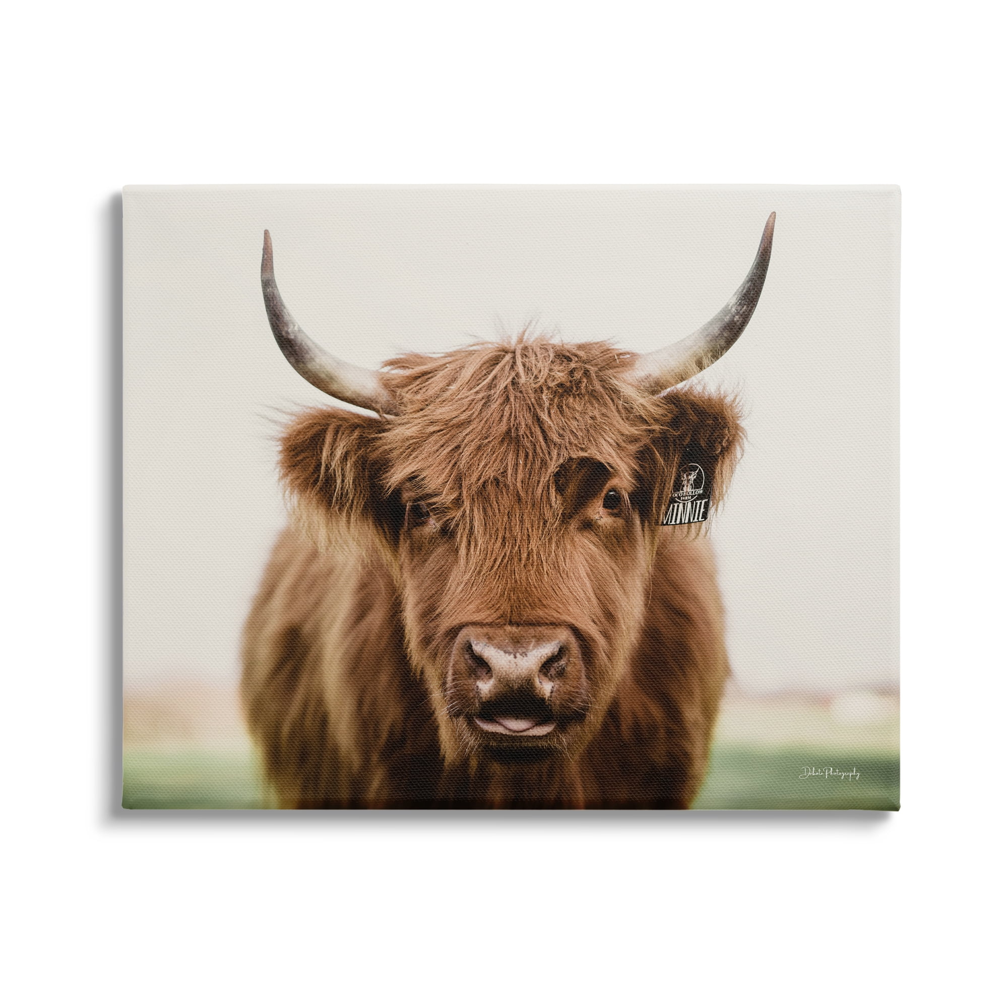 Stupell Industries Farmhouse Cattle Photography Animals & Insects Photography Gallery Wrapped Canvas Print Wall Art, 40 x 30