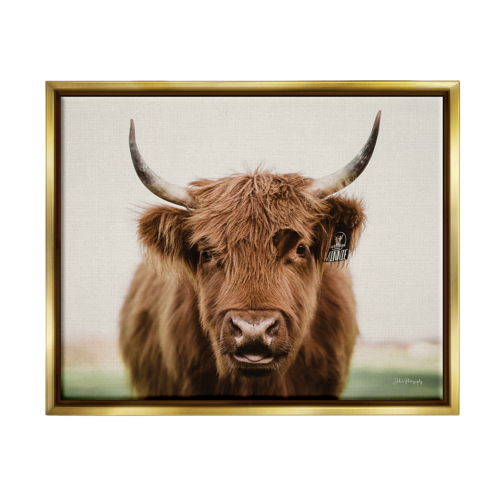 Stupell Industries Farmhouse Cattle Photography Animals & Insects Photography Gold Floater Framed Art Print Wall Art, 21 x 17