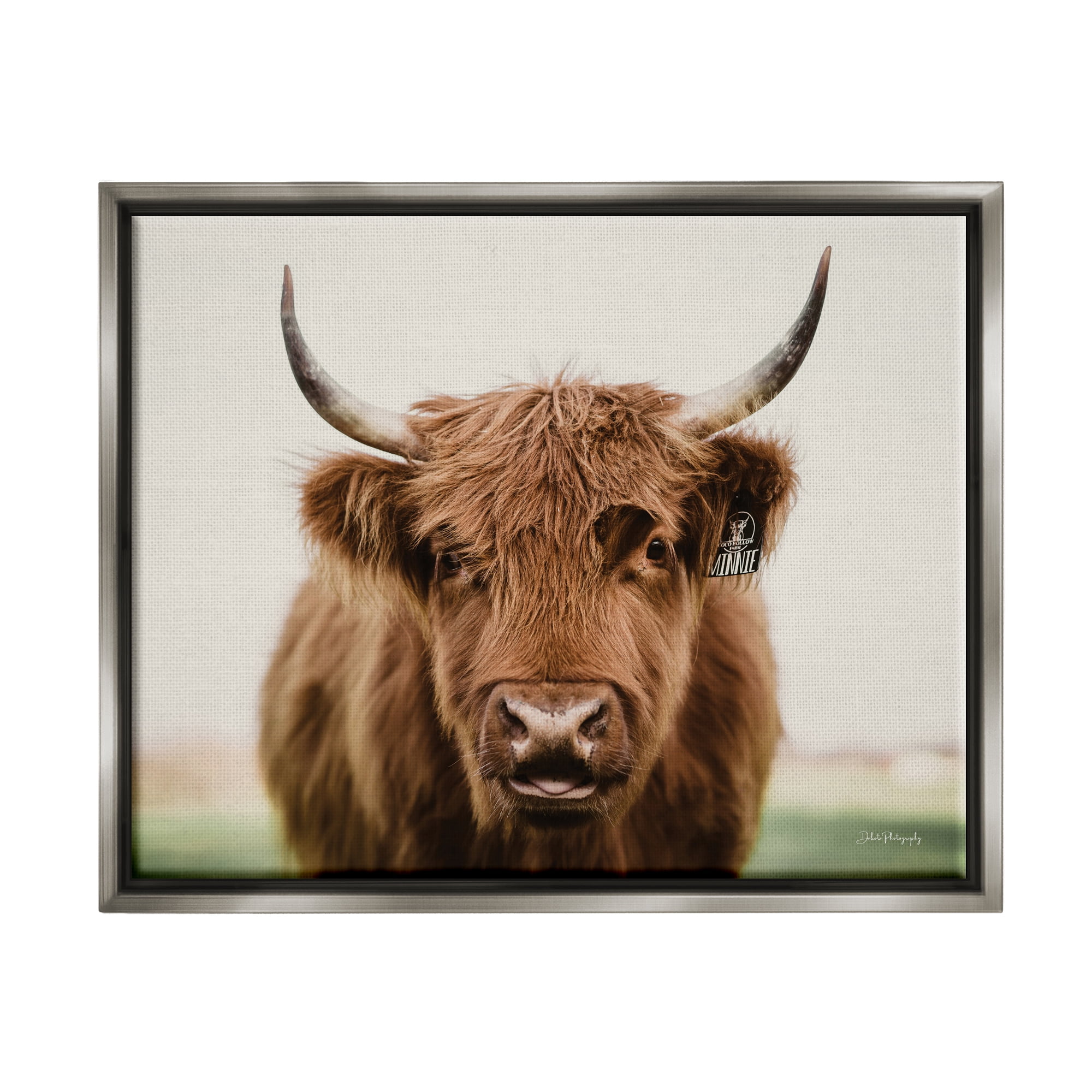 Stupell Industries Farmhouse Cattle Photography Animals & Insects Photography Gray Floater Framed Art Print Wall Art, 21 x 17