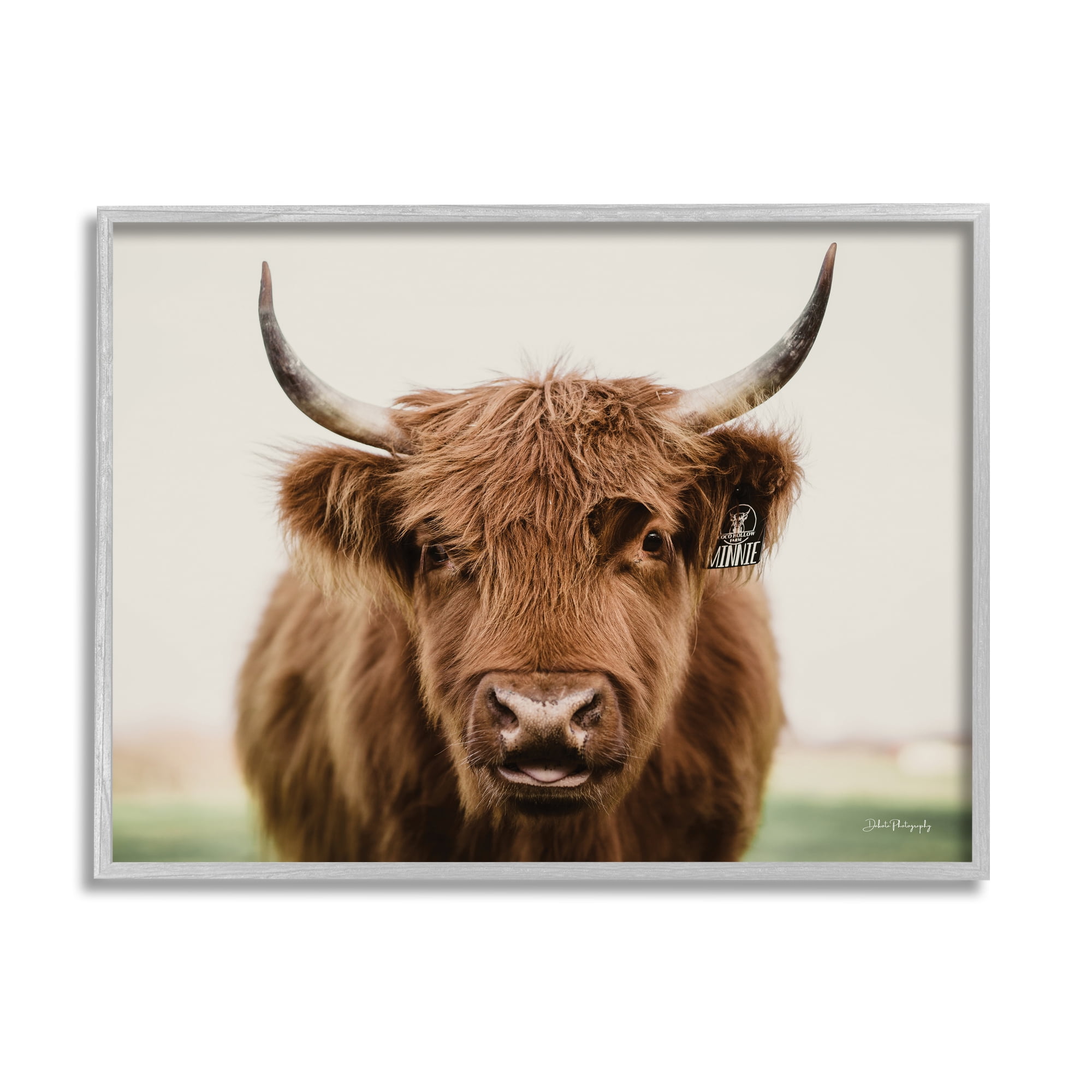 Stupell Industries Farmhouse Cattle Photography Animals & Insects Photography Gray Framed Art Print Wall Art, 20 x 16