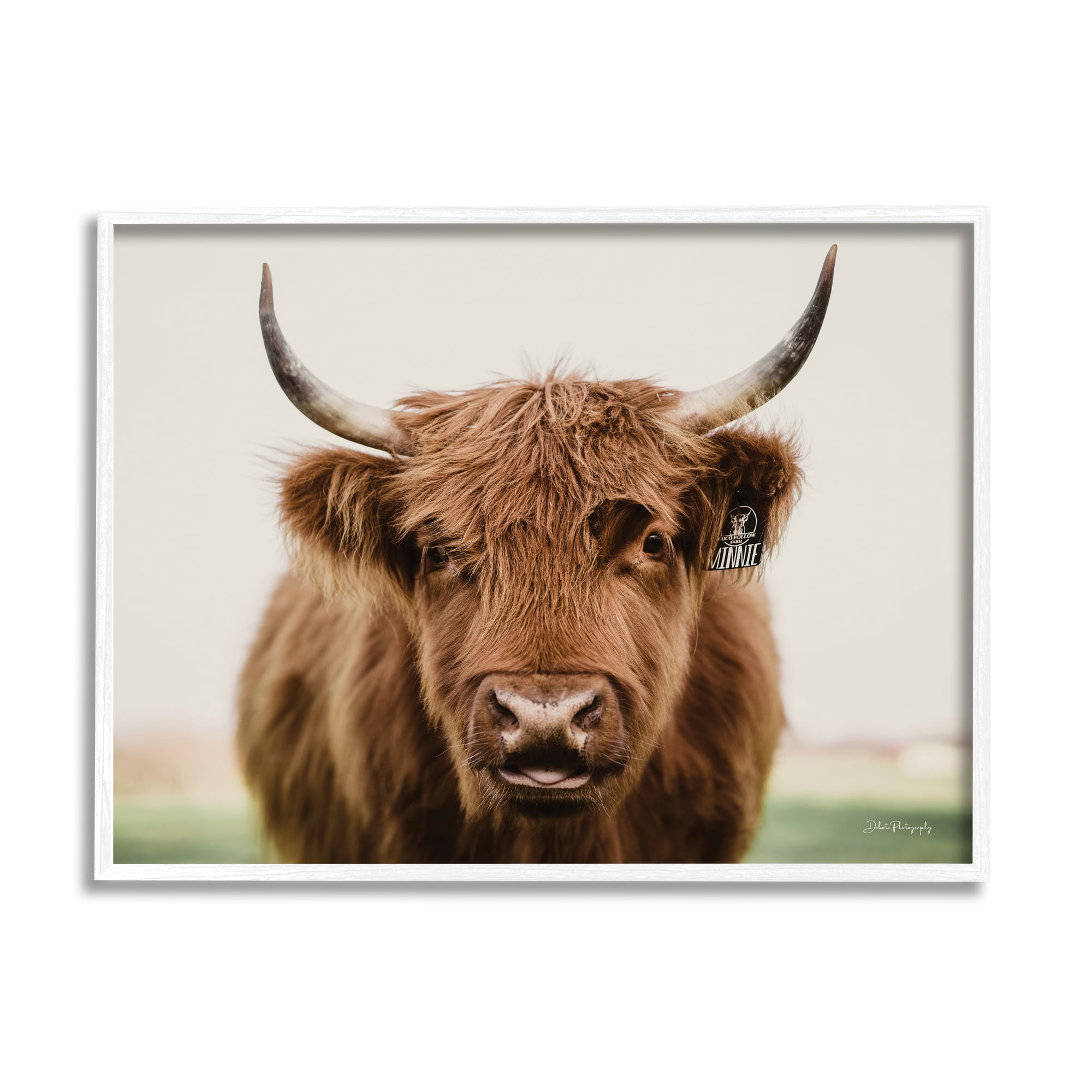 Stupell Industries Farmhouse Cattle Photography Animals & Insects Photography White Framed Art Print Wall Art, 20 x 16