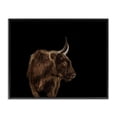 thumbnail image 1 of Stupell Industries Farmhouse Cattle Side Portrait Minimal Modern Farm Photography Black Framed Giclee Art, 20 x 16, by Marika Moffit, 1 of 7